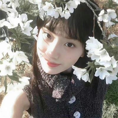 苹果橘子经济学